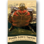 Turtle_DVD