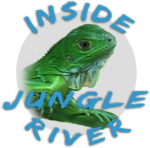 Inside Jungle River Project